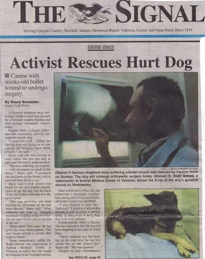 bethany.jpg - 296.79 KB