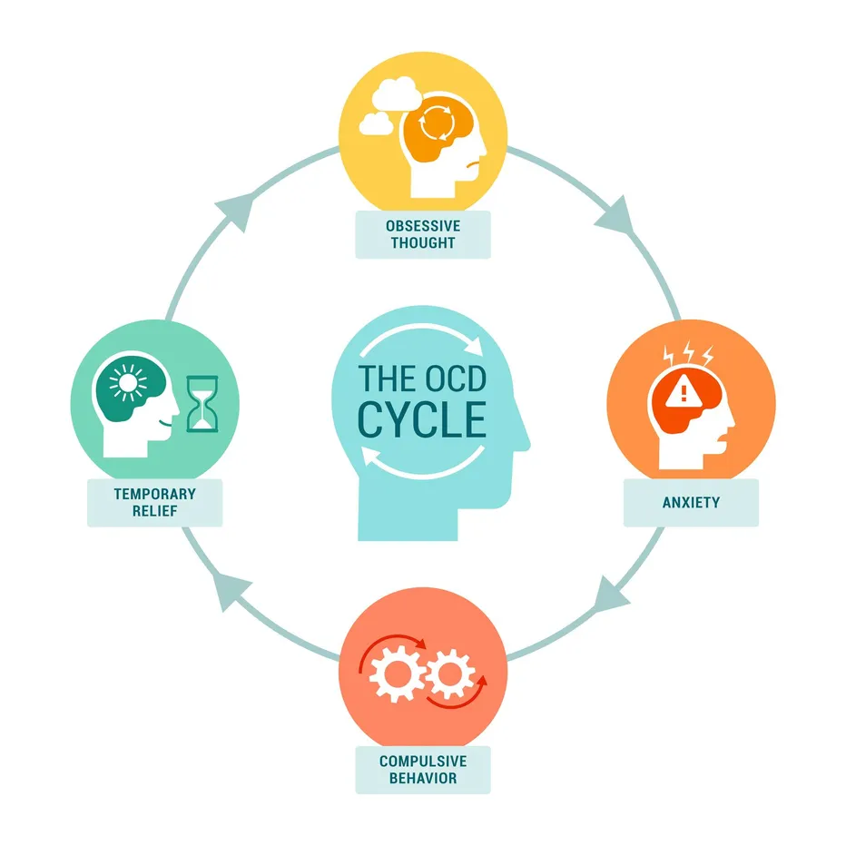 The OCD Cycle