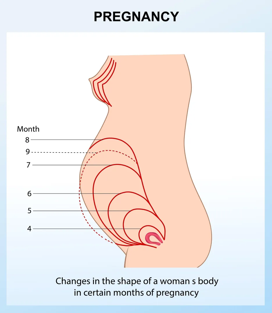 understand the mechanical source