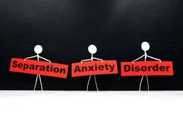 seperation anxiety