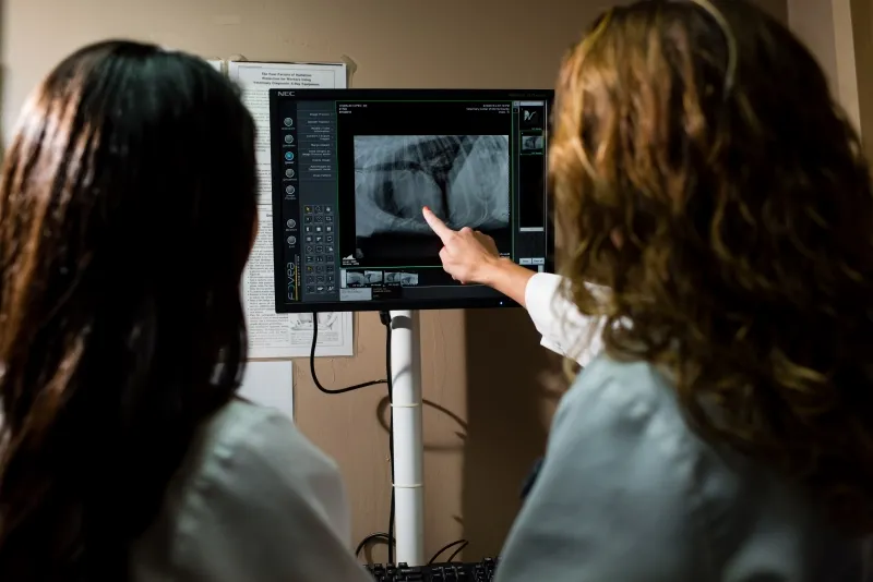 Doctors looking at a radiograph