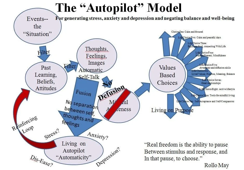 Antiplot model