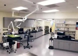 inside the animal hospital