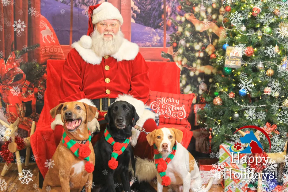 Santa pic 2021