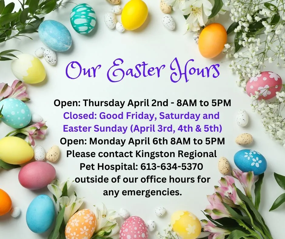 Easter Hours 2026