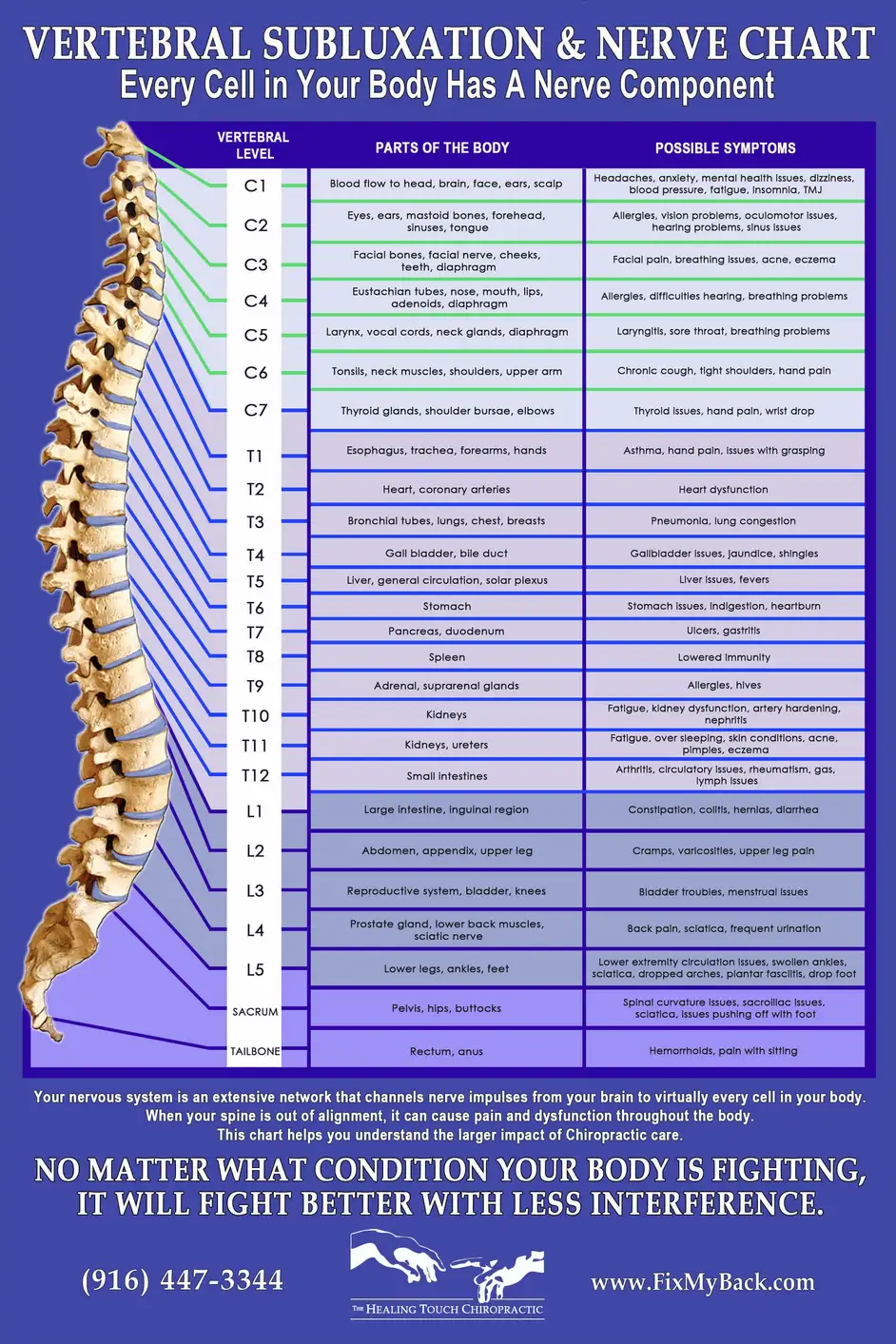 Nerve Chart Chiropractor In Sacramento Ca The Healing Touch Chiropractic 0177