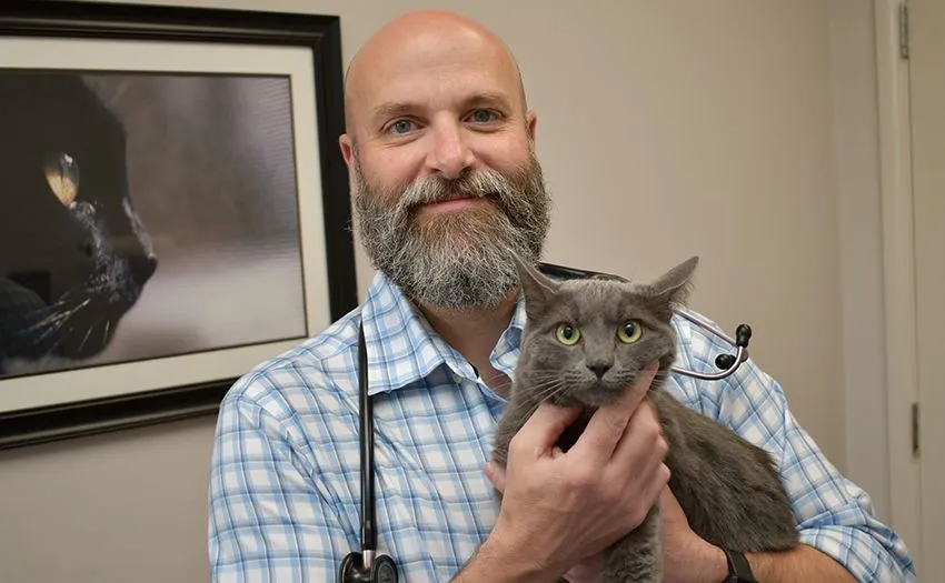 At Cotswold Animal Hospital we promote client education and preventative health care. With a tailored vaccination schedule and helpful pointers on home care from our veterinarians, we aim to keep your dog or cat healthy, happy, and one-step ahead of common illnesses. We suggest bi-annual exams for even the healthiest of pets, so that any maladies without visible symptoms can be detected through our comprehensive physical and diagnostic screenings.