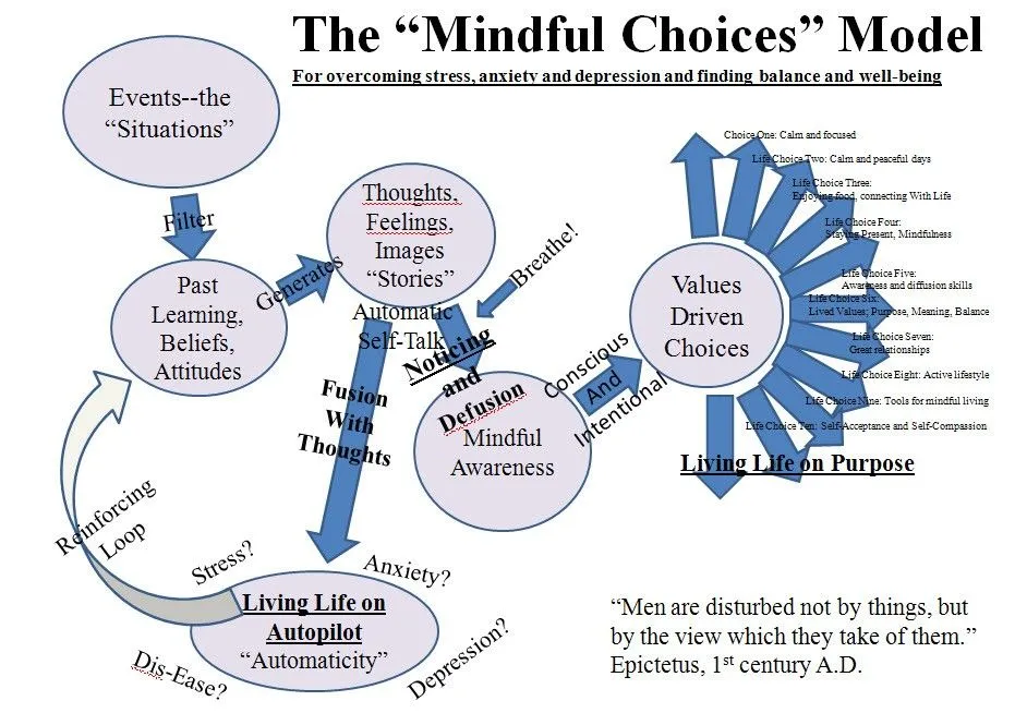 Mindful Choices Model