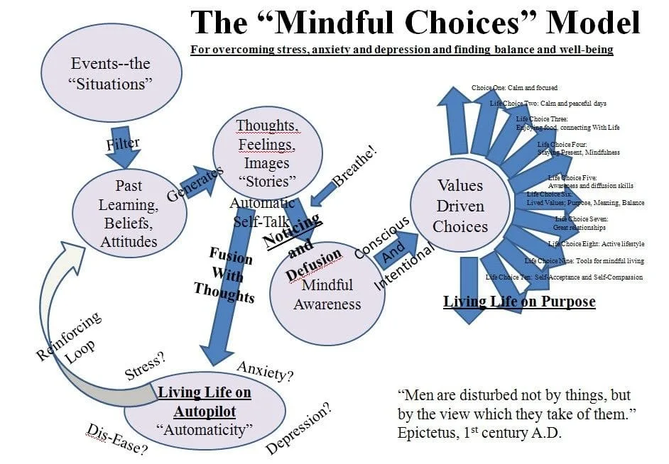 Mindful Choices model