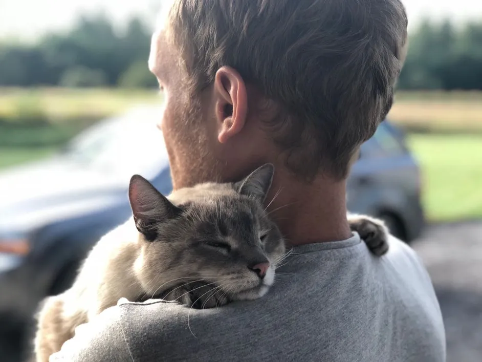 Changes in Interaction