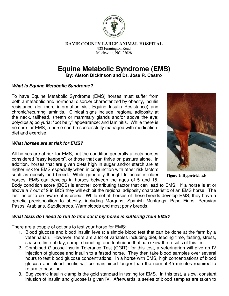 Equine Metabolic Syndrome Horses Fact sheet for horse owners