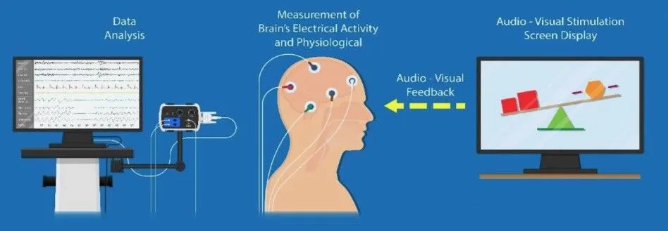 Neuroscience Flow Chart