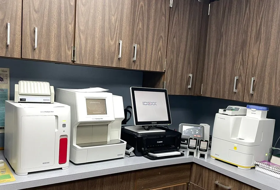 IDEXX lab station