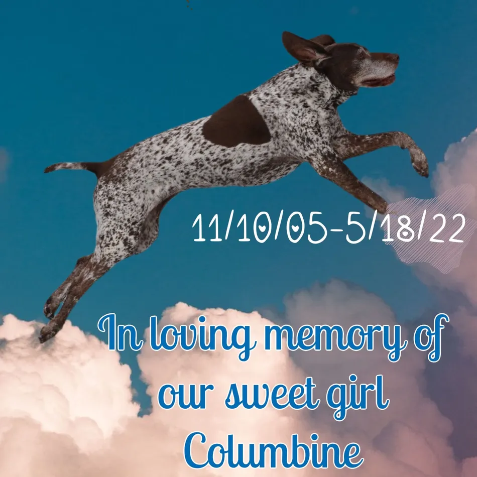 pet memorial 