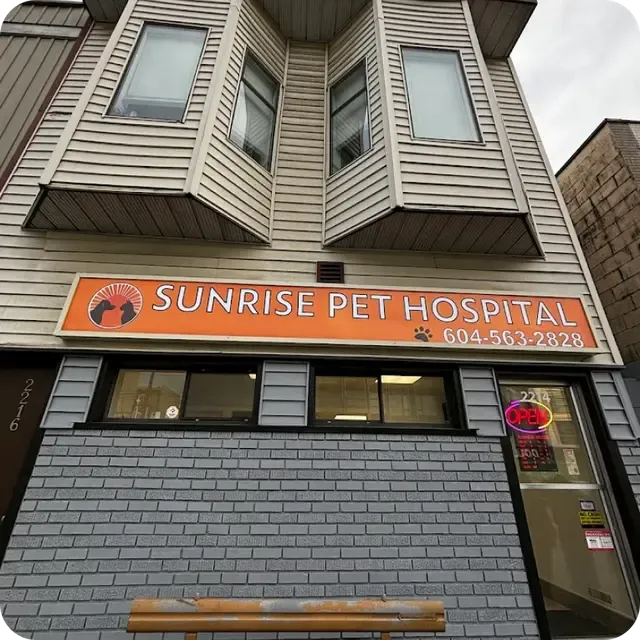 Sunrise Pet Hospital