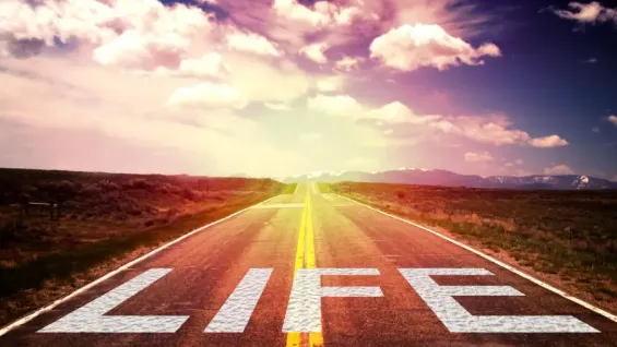 road that says life