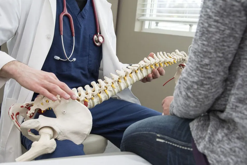 doctor showing spine model to a patient