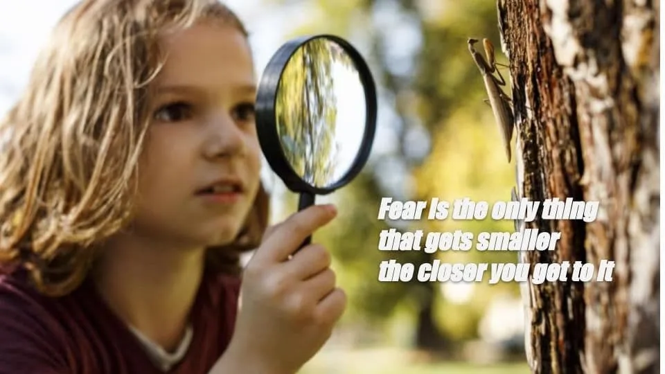 Fear is the only thing that gets smaller the closer you get to it