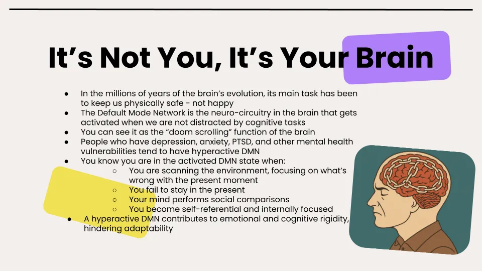 Default Mode Network