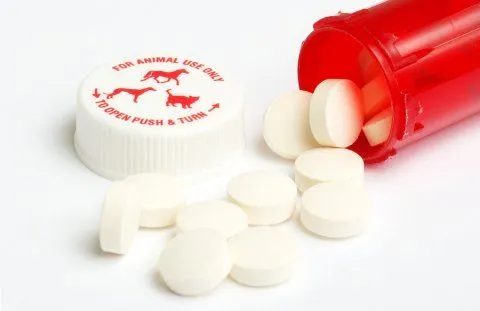 bigstock_Veterinarian_Prescription_938023.jpg