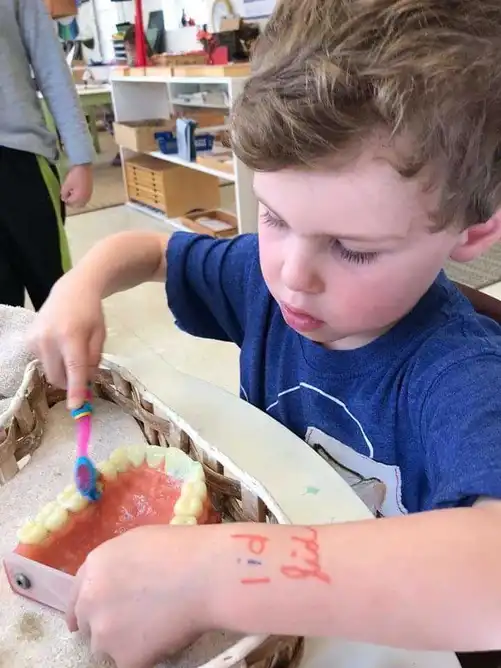 Montessori Experience