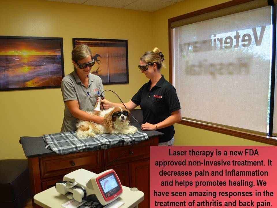 Barrington Oaks Veterinary Hospital Veterinarian in Elk River, MN