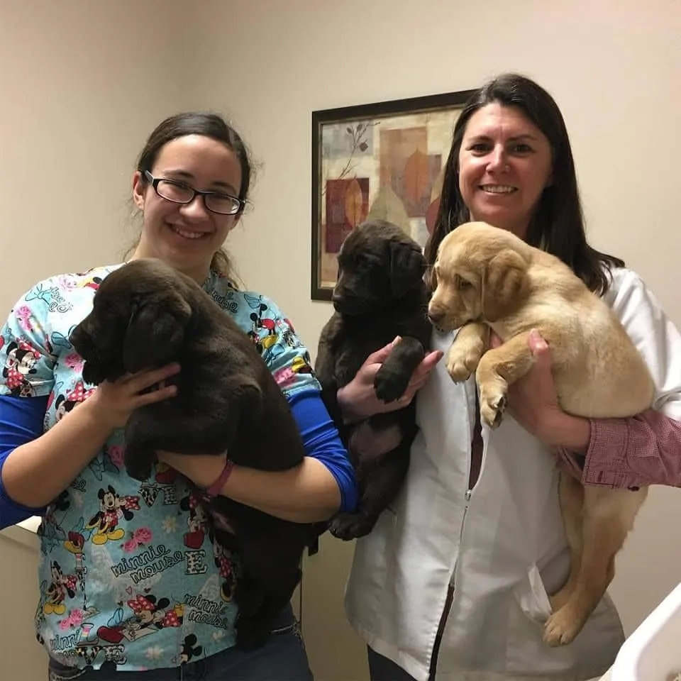 doctor and staff with puppies