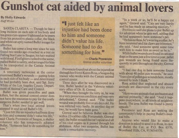 bethany4.jpg - 472.46 KB