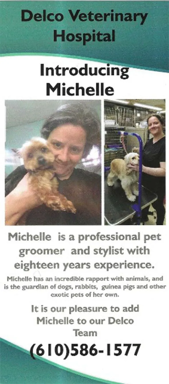 introducing michelle