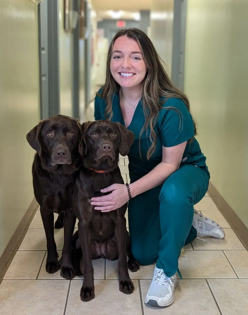 Associate Veterinarian