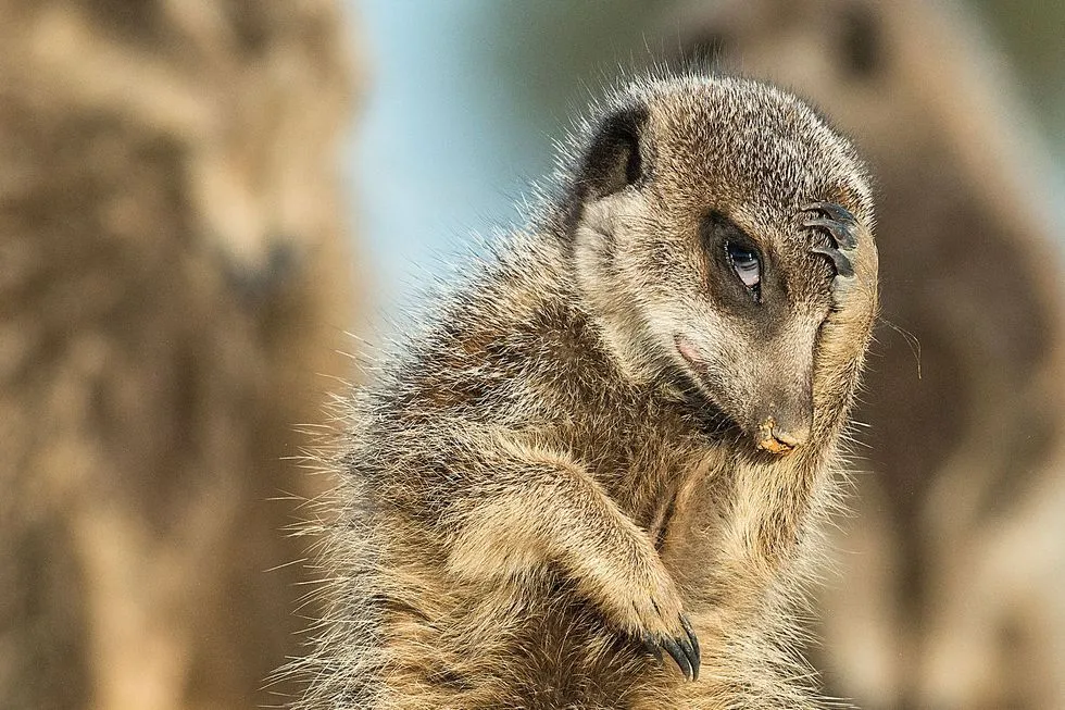 Niki living her life