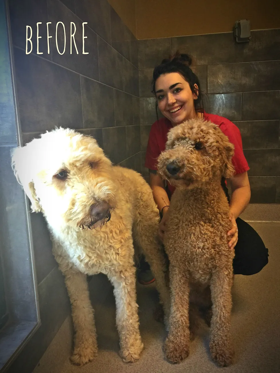 Molly and Theo before their groom!