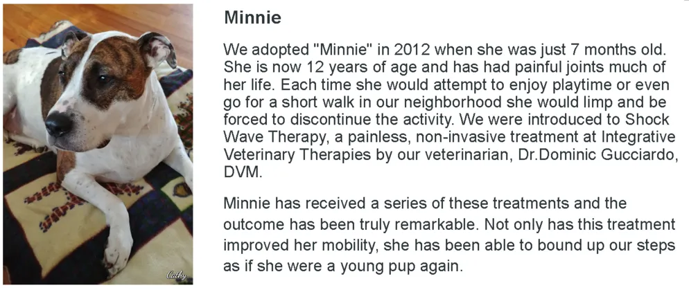 Minnie L