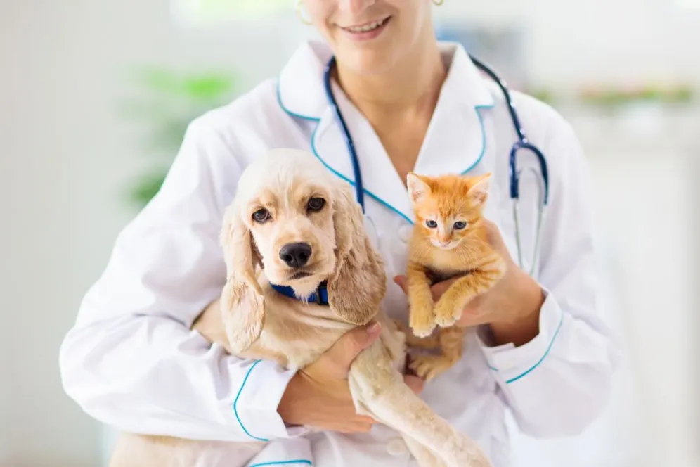 Pet Wellness Exam FAQs