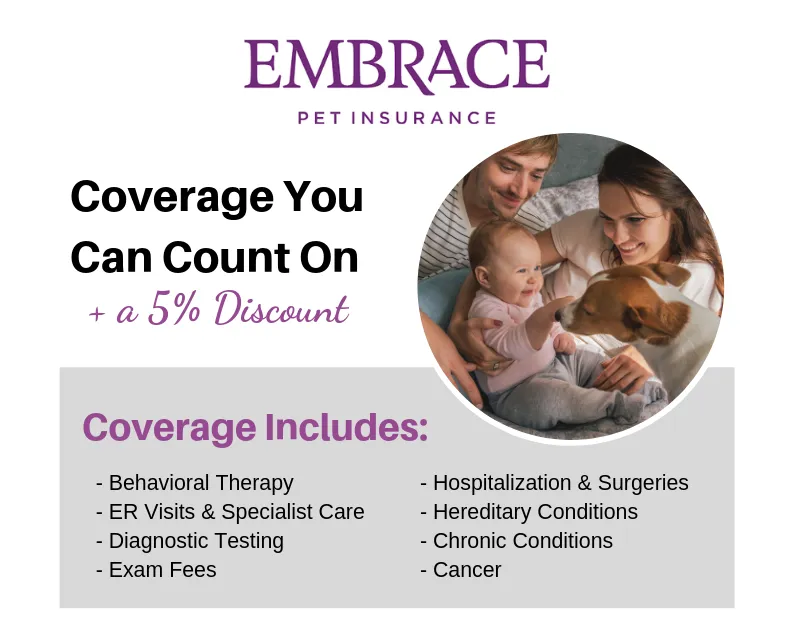 Embrace Coverage 